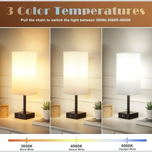 Amazon Lamp - Picture 2 of 6